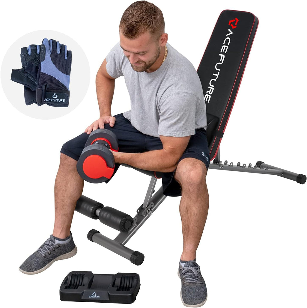 Adjustable Weight Bench with Lumbar Pad, 500 lbs Capacity R16684
