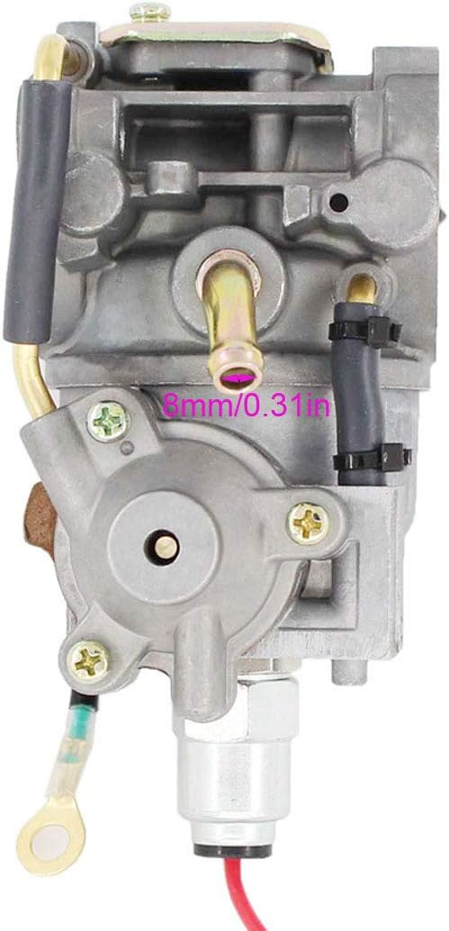 Carburetor with Fuel Pump Oil Filter Pack of 2 P893235