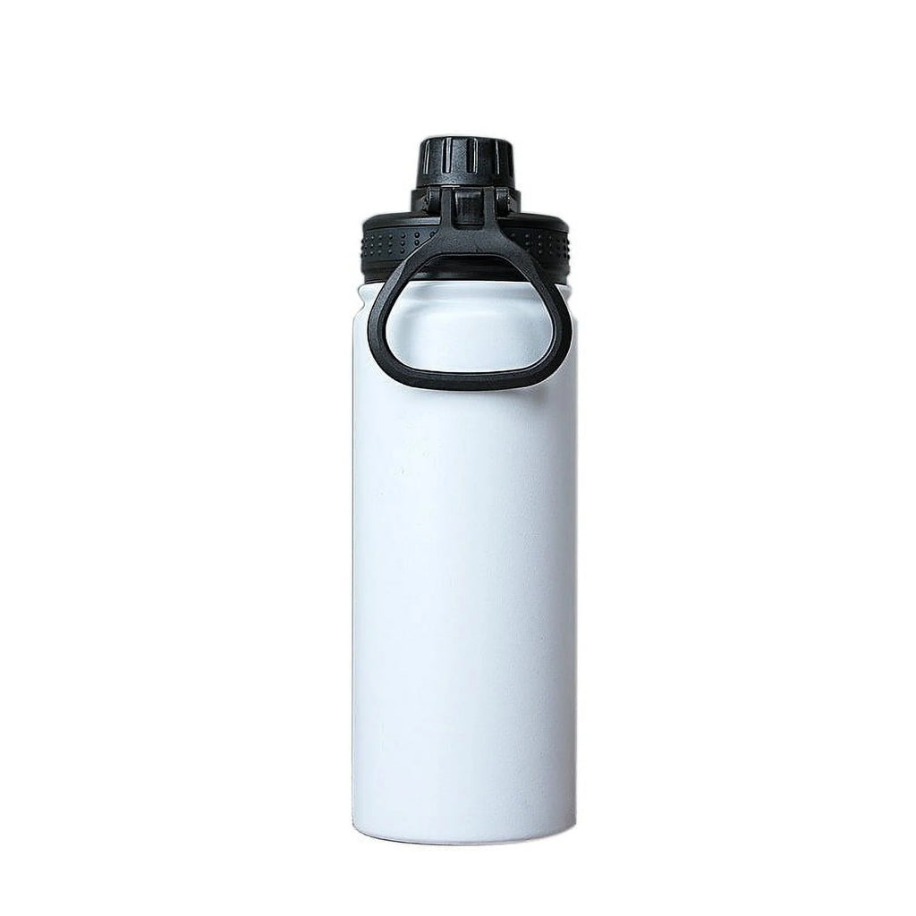 22 oz Insulated Stainless Steel Water Bottle with Straw N786
