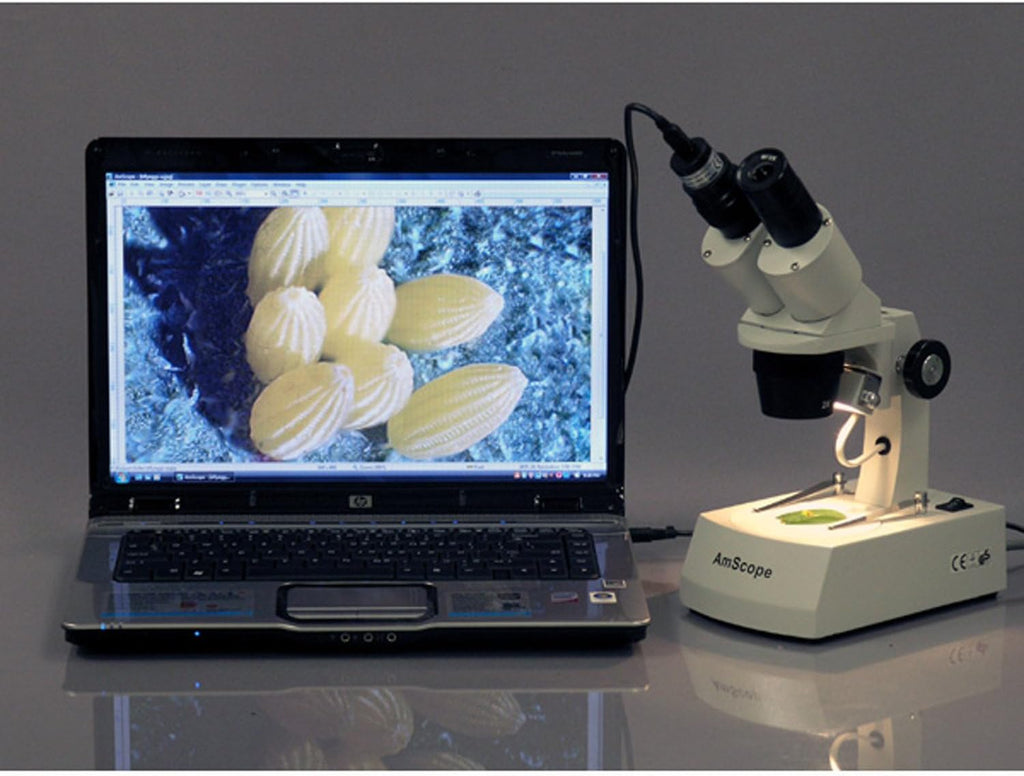 Digital USB Microscope Camera, Pack of 2 W58988