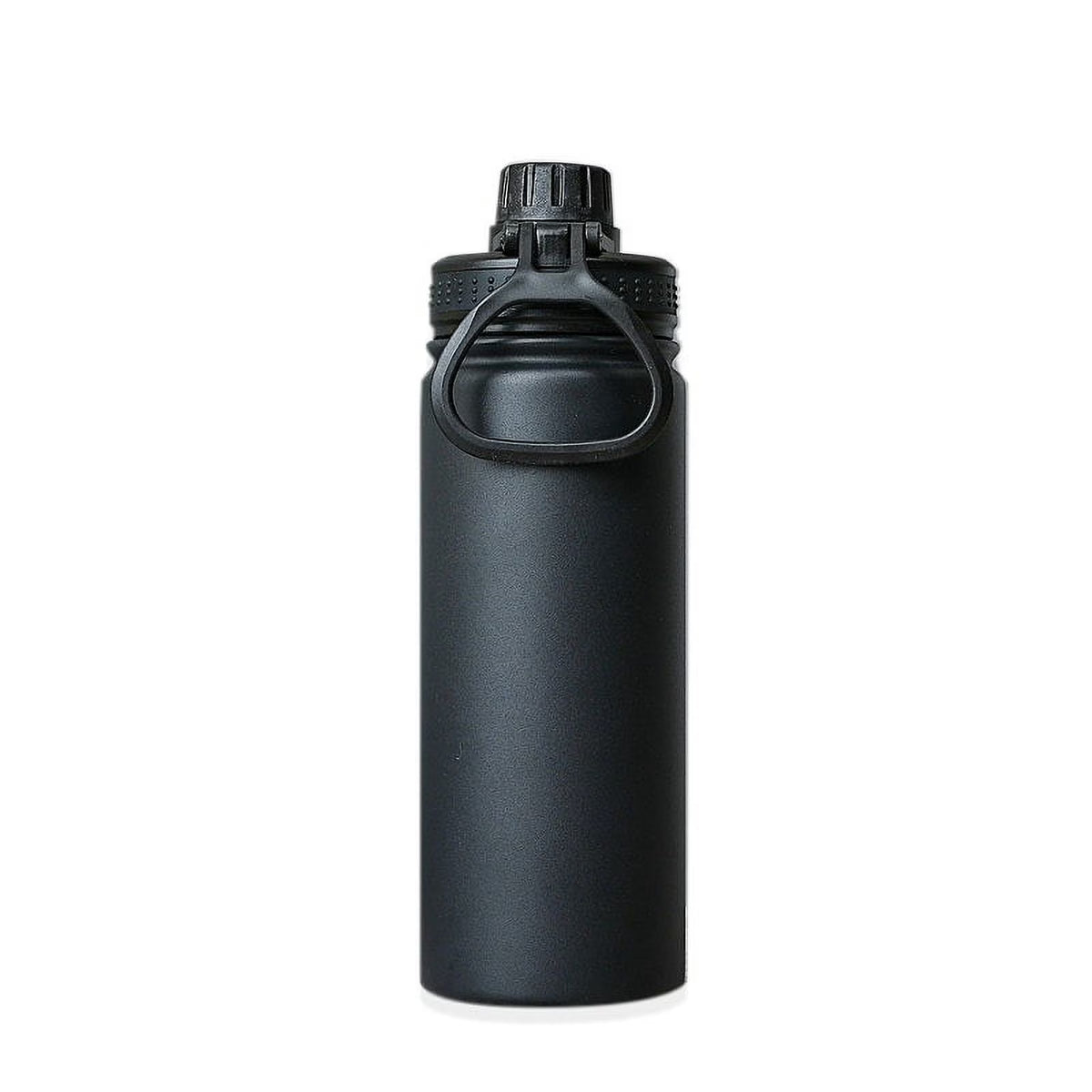 22 oz Insulated Stainless Steel Water Bottle with Straw N786