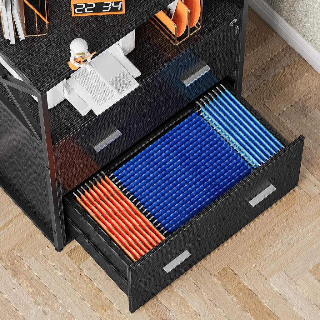 2 Drawer Lateral Filing Cabinet with Lock Black D9128