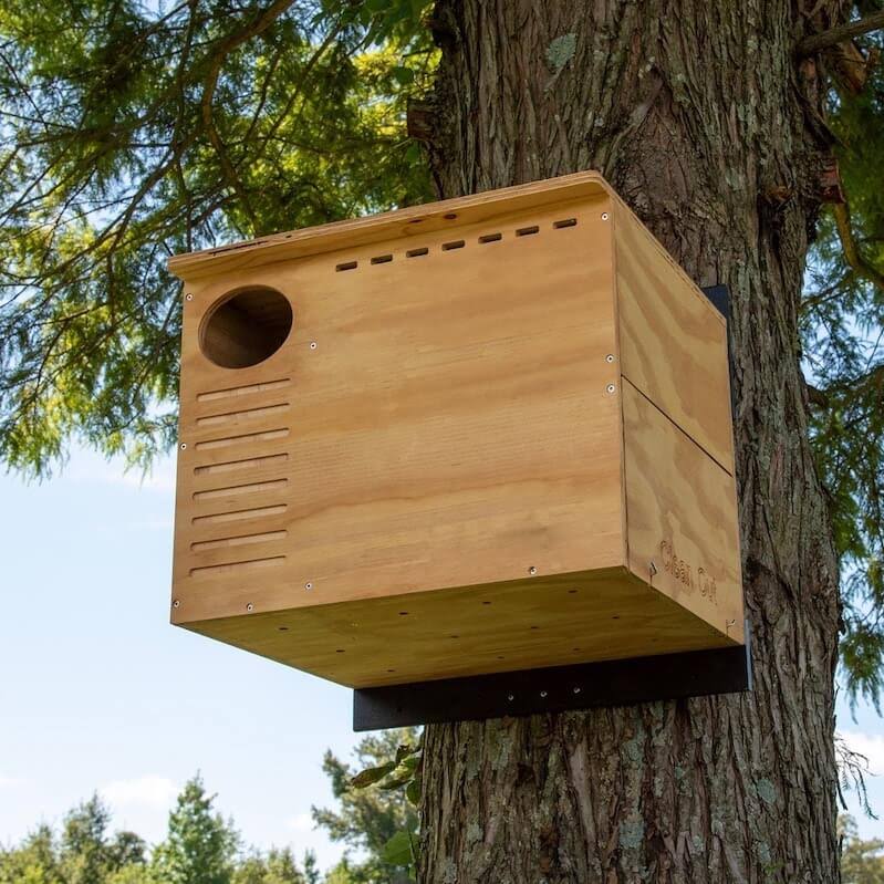Barn Owl Nest Box House R325