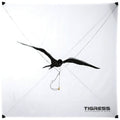 White Wind Kite Z3395