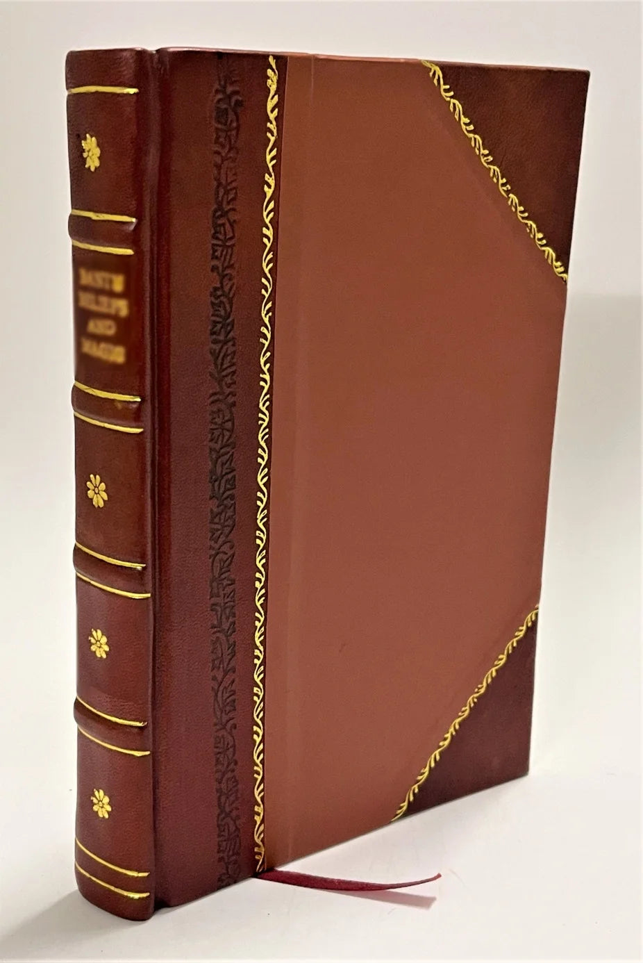 Leather Bound Book Z499