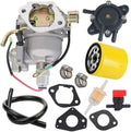 Carburetor with Fuel Pump Oil Filter Pack of 2 P893235