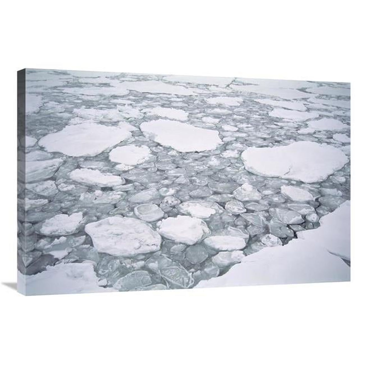 24 x 36 in. Sea Ice Art Print Q78312