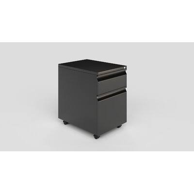 Black/Blue 2-Drawer Mobile Vertical Filing Cabinet D220803