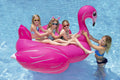 Jumbo Flamingo Pool R9669