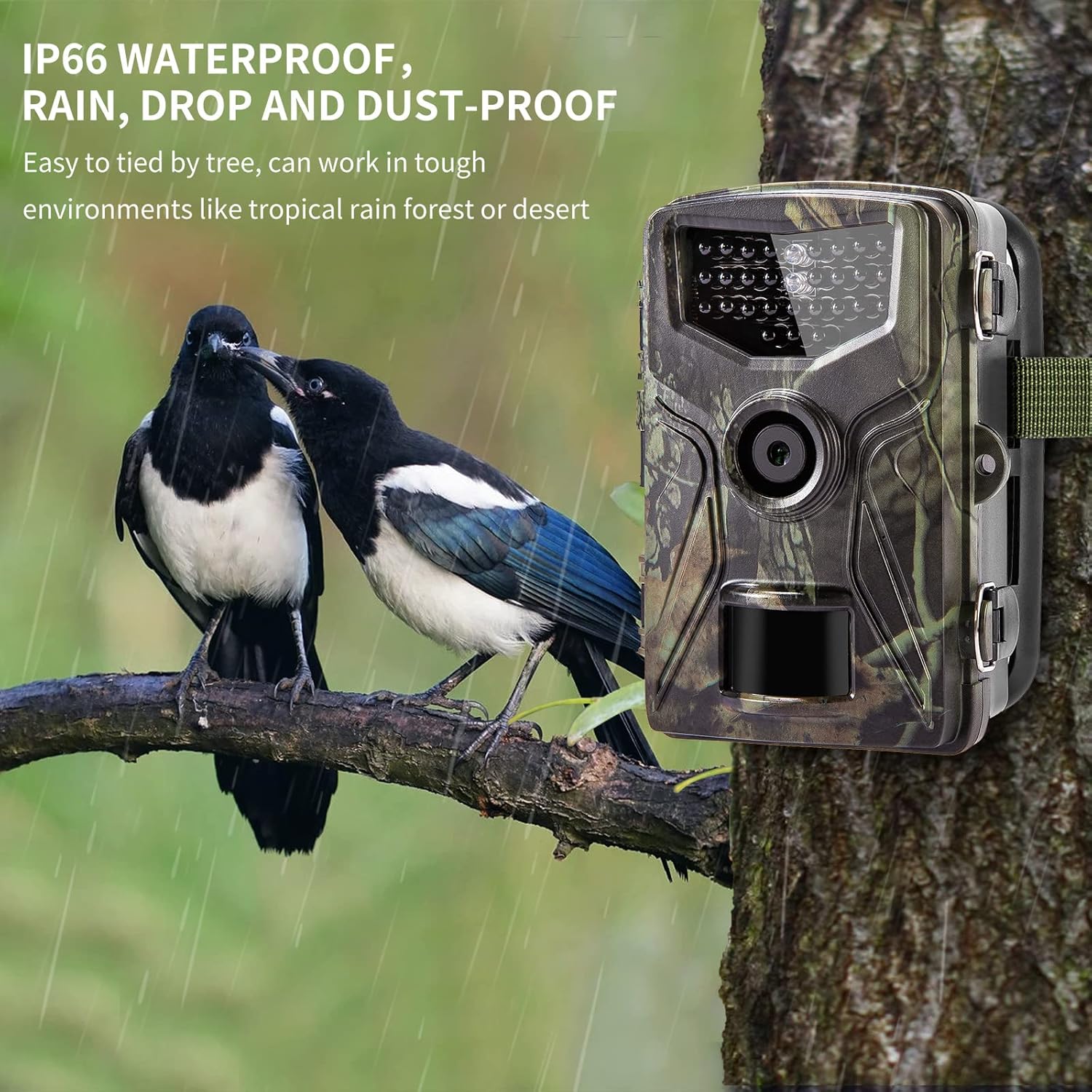 1520P 36MP Waterproof Game Camera with Night Vision Motion Activated, Pack of 2 A307737