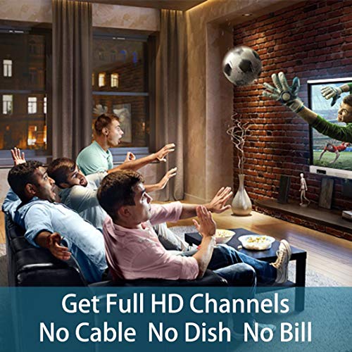 Omni-Directional HDTV Antenna with Mounting Pole C8048