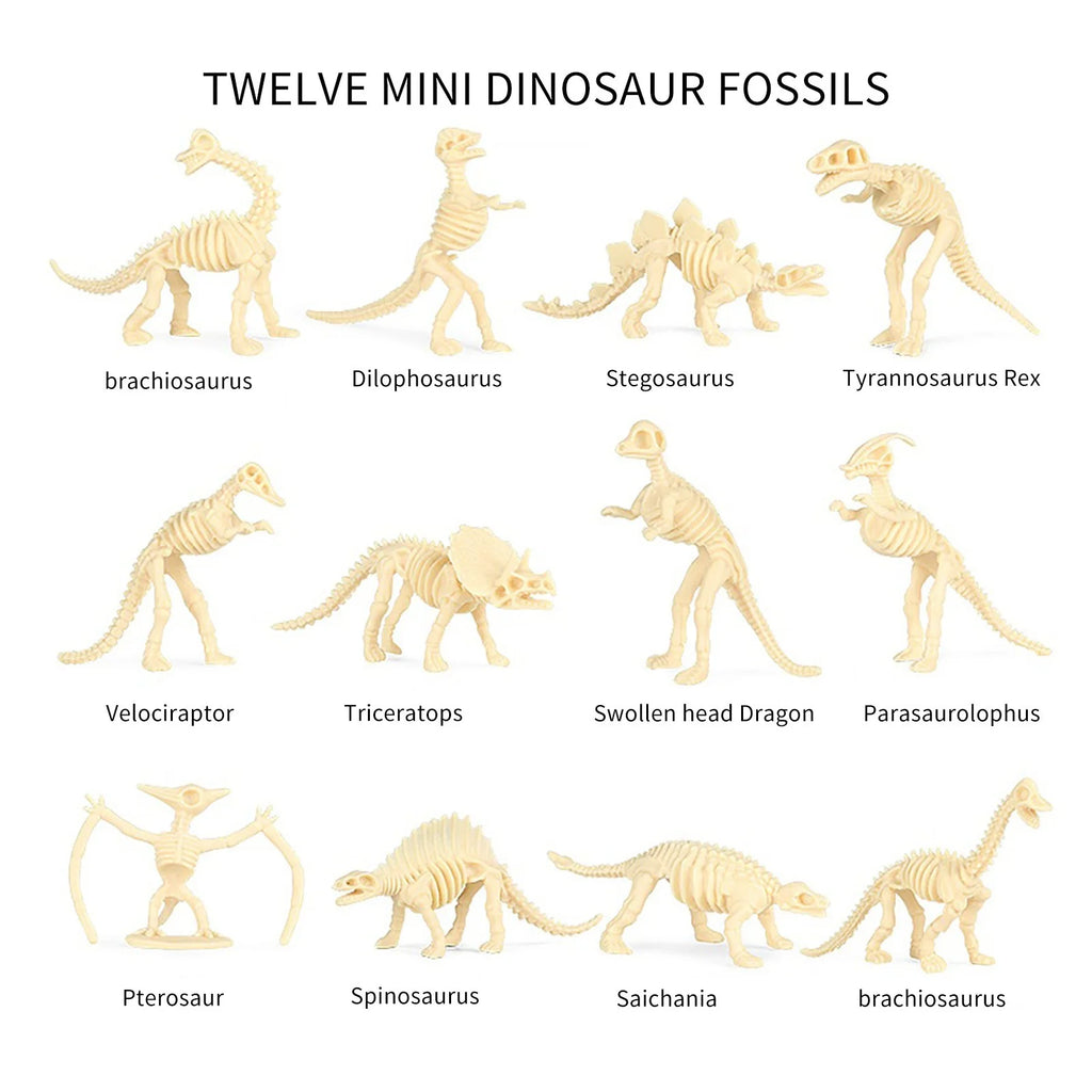 Colorful Simulation Dinosaur Fossil Model Ornaments E614590