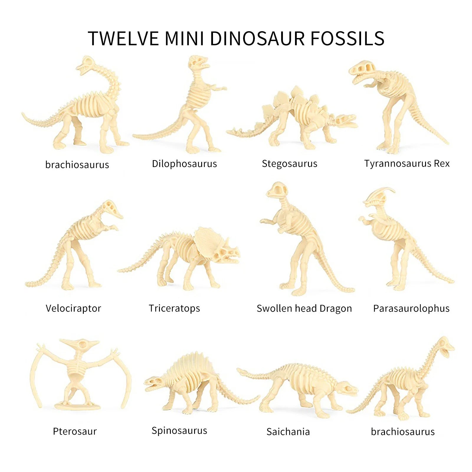 Colorful Simulation Dinosaur Fossil Model Ornaments E614590