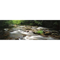 Poster Print 36 x 12 A7896