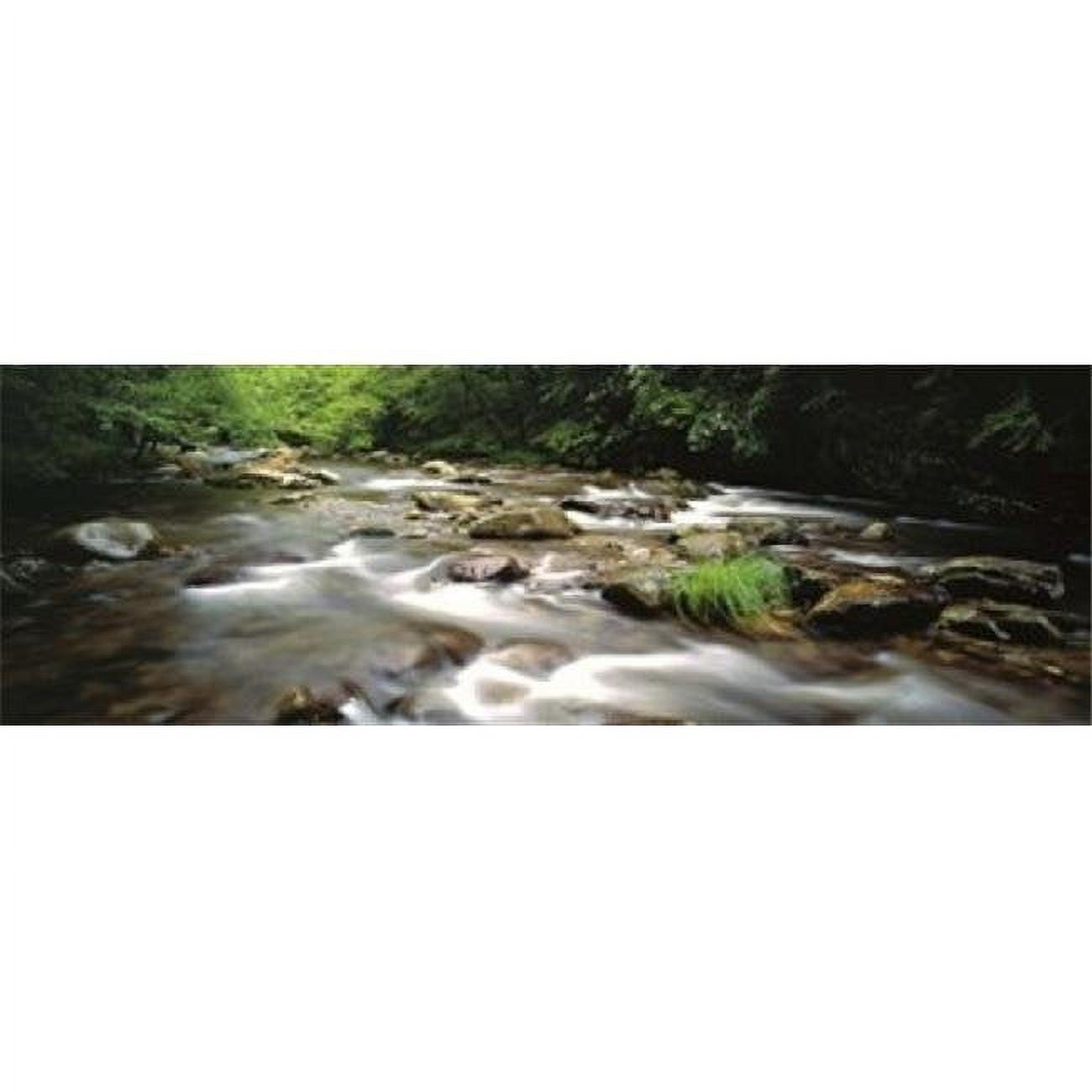 Poster Print 36 x 12 A7896