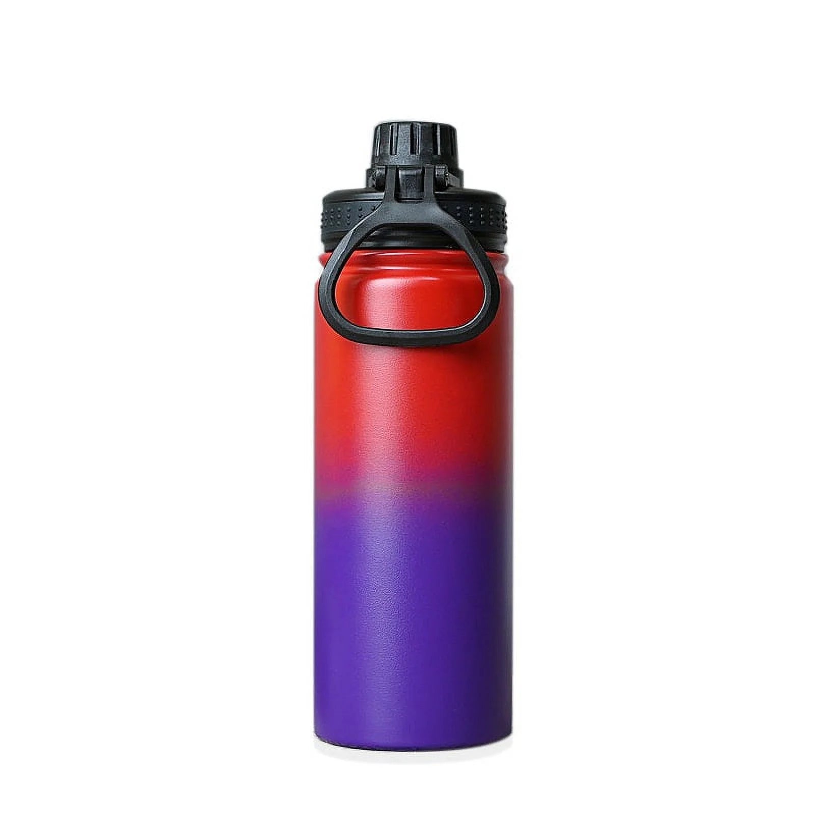 22 oz Insulated Stainless Steel Water Bottle with Straw N786