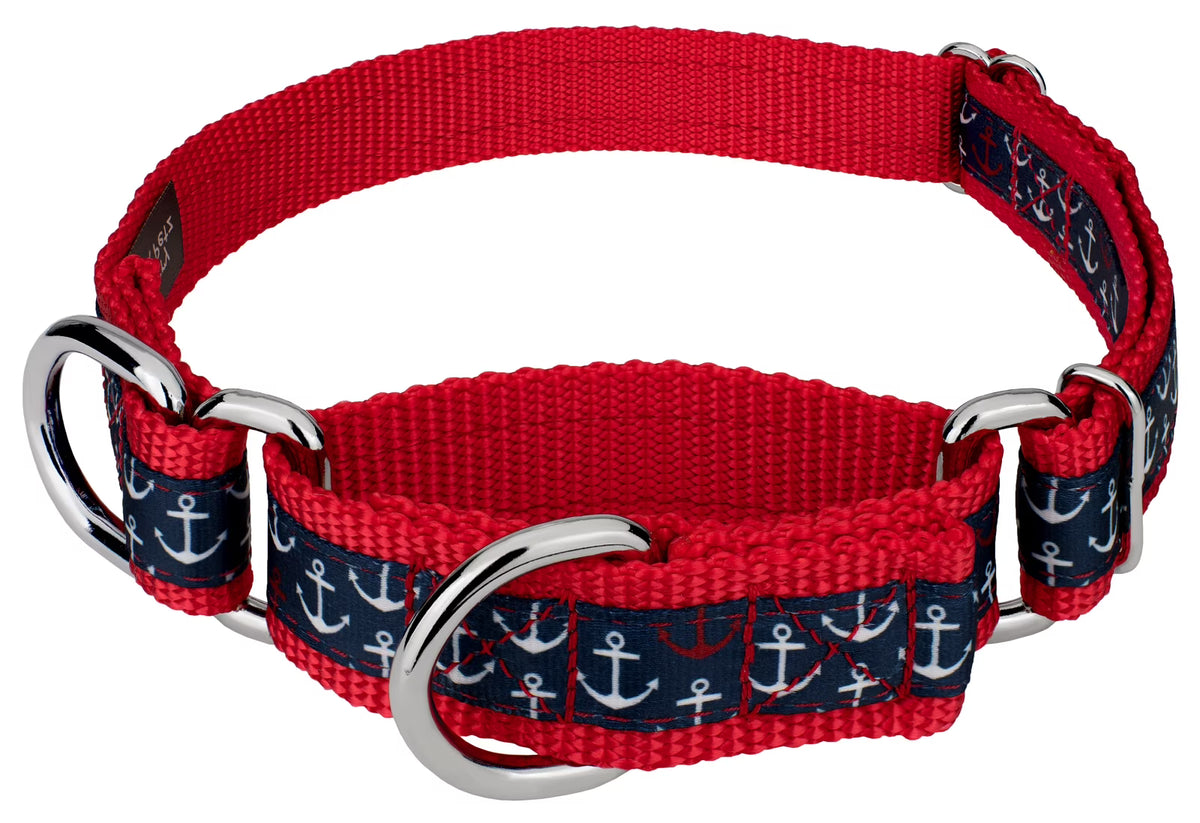Large Martingale Dog Collar R94004
