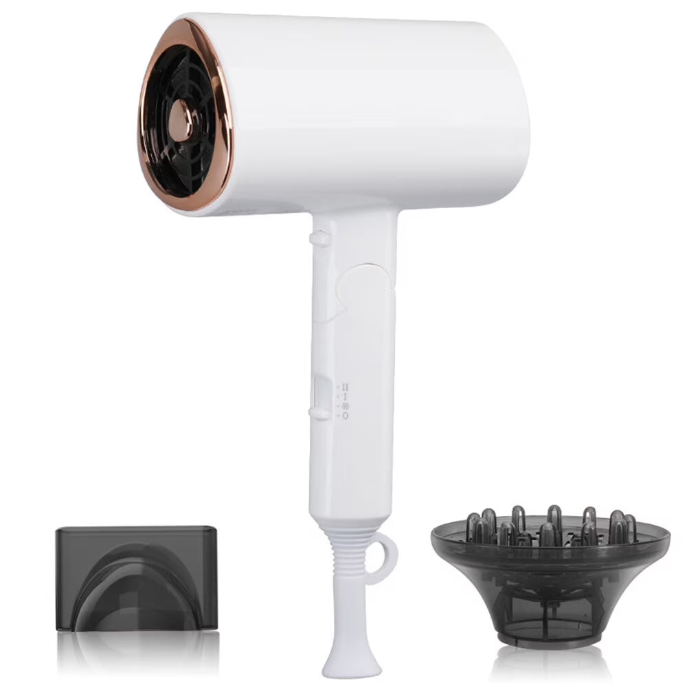 1800W Professional Portable Hair Dryer Y8274