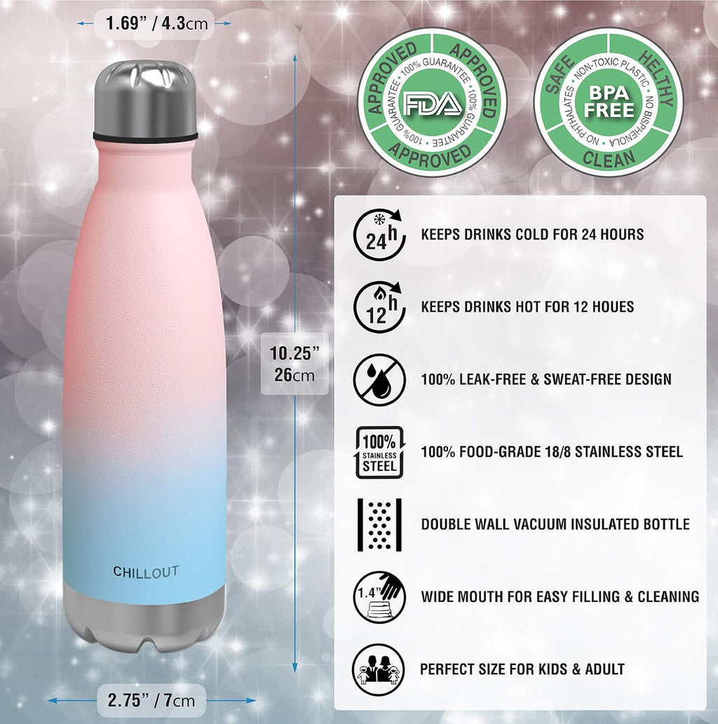 17 oz Double Wall Insulated Stainless Steel Water Bottle D301