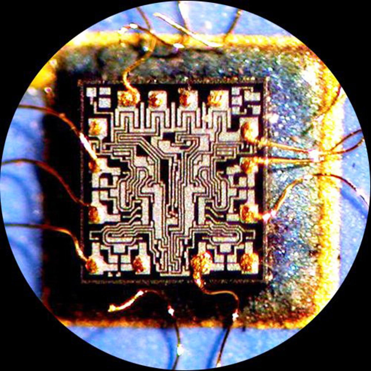 Digital USB Microscope Camera, Pack of 2 W58988