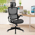 Ergonomic Mesh Office Chair with 3D Lumbar Support G3753