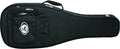 Acoustic Guitar Case E930
