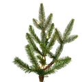 Douglas Fir 3.5 x 28 x 22 200cl C198