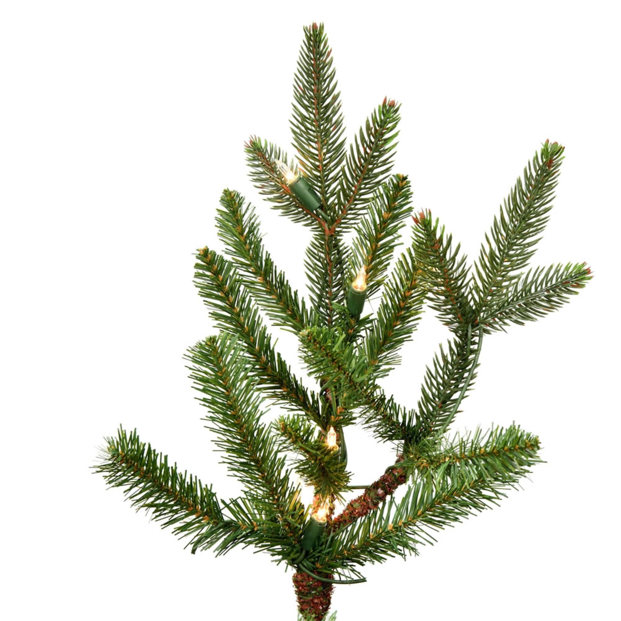Douglas Fir 3.5 x 28 x 22 200cl C198