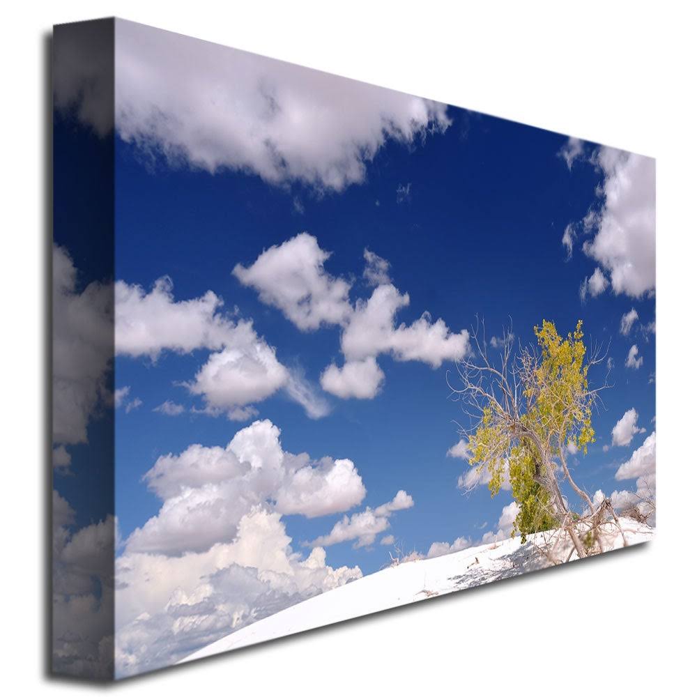 Canvas Art Z165533