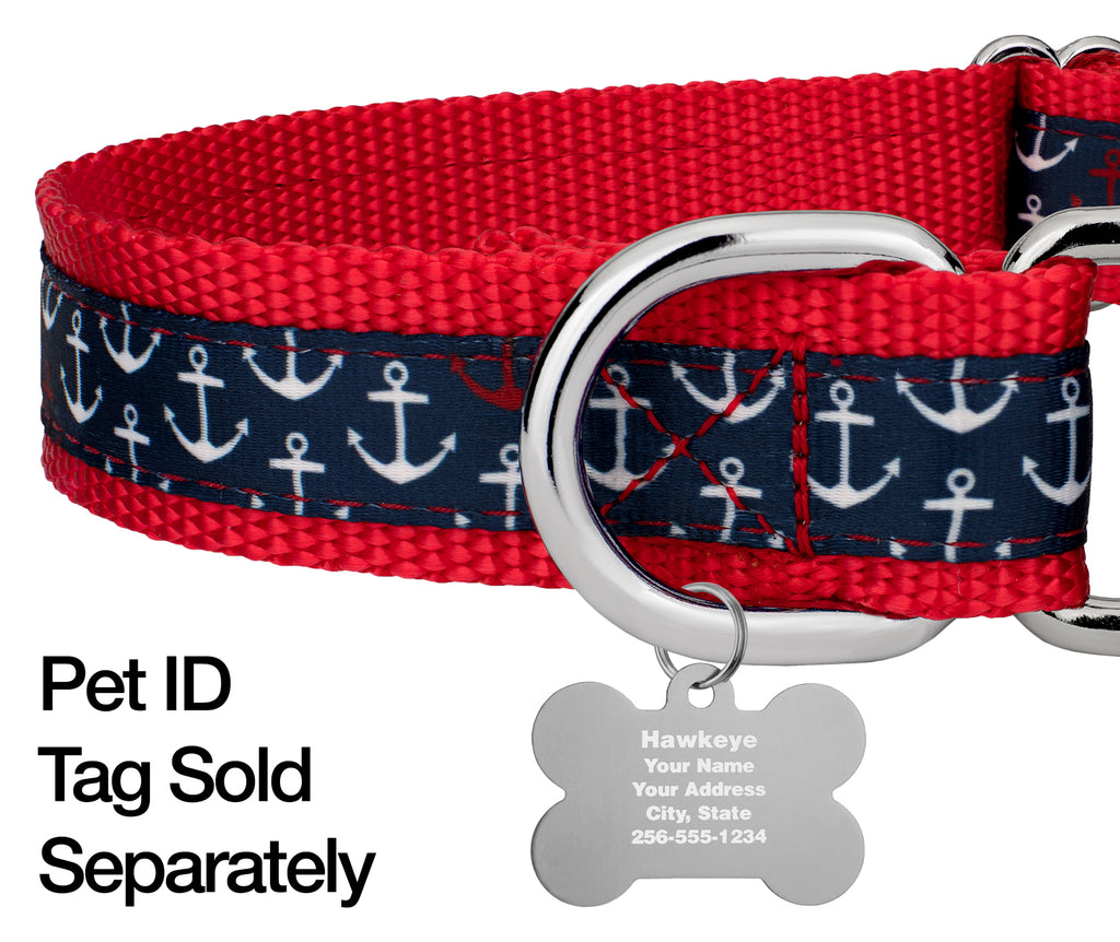 Large Martingale Dog Collar R94004