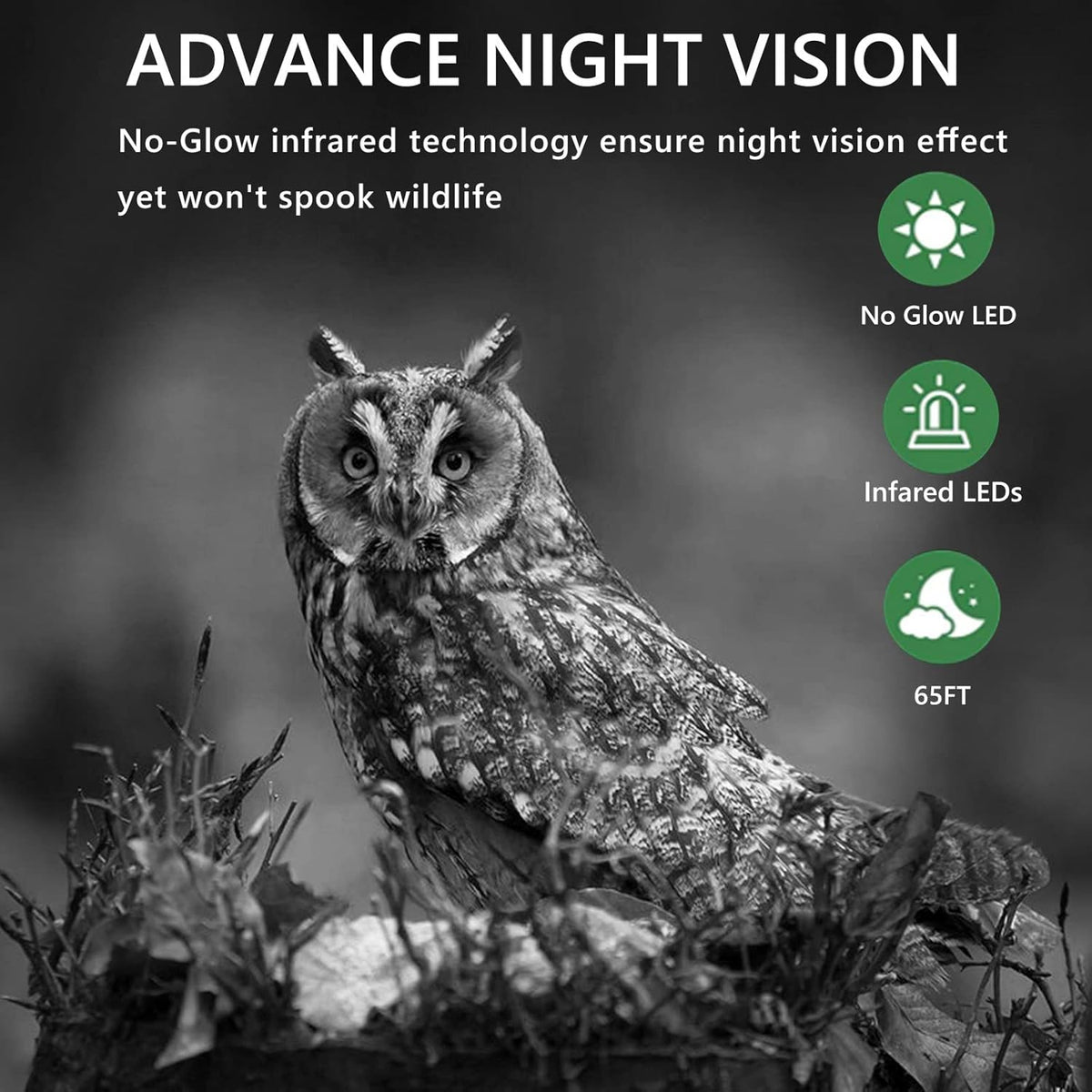 1520P 36MP Waterproof Game Camera with Night Vision Motion Activated, Pack of 2 A307737