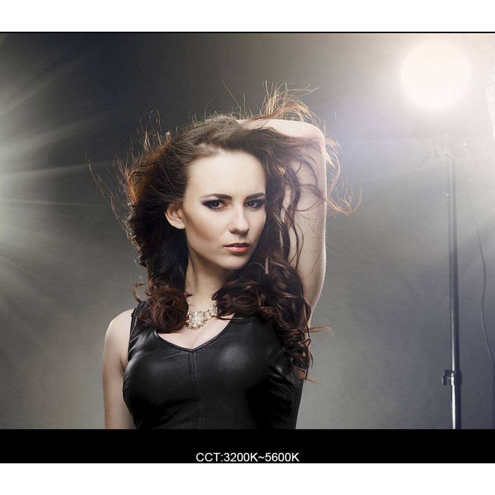 LED Daylight Video Light W57088
