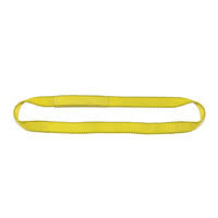 1 Ply 12x22 x 9& Endless Polyester Web Sling G3293