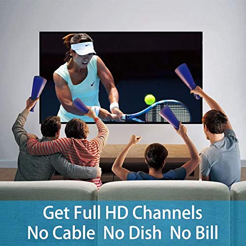 Omni-Directional HDTV Antenna with Mounting Pole C8048