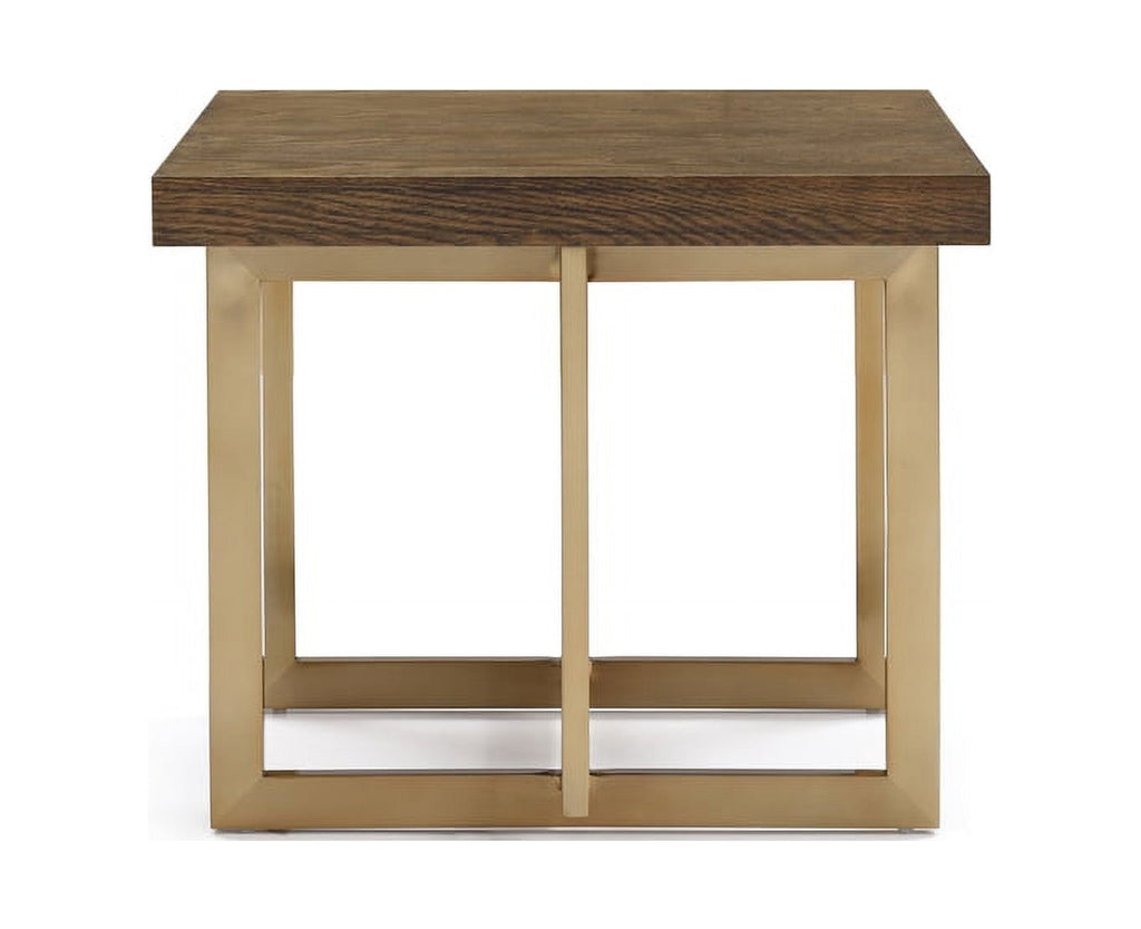 Modern Elm & Antique Brass End Table O7173