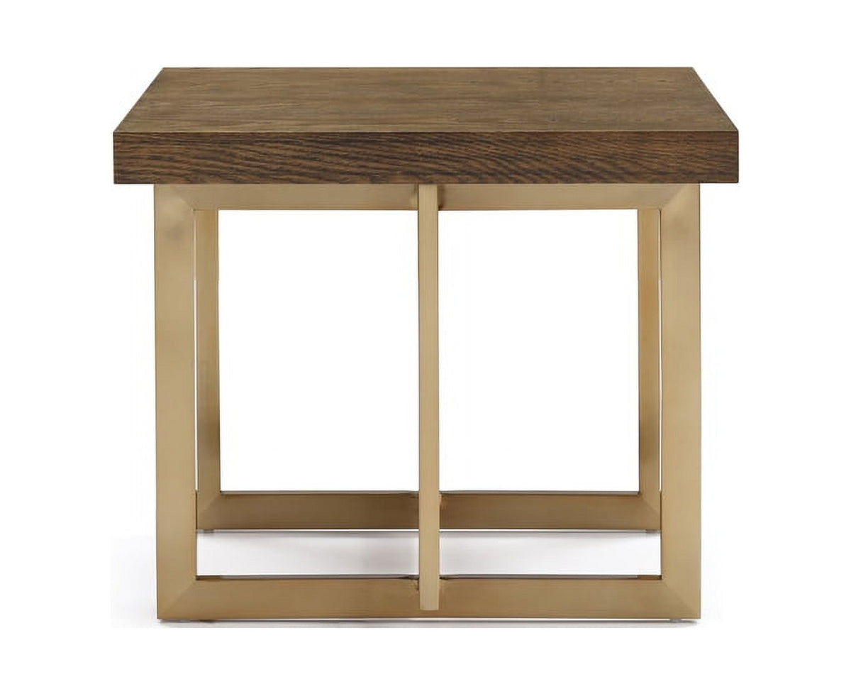 Modern Elm & Antique Brass End Table O7173