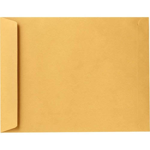 Jumbo Envelopes 28lb. Brown Kraft 250 Qty. E809193