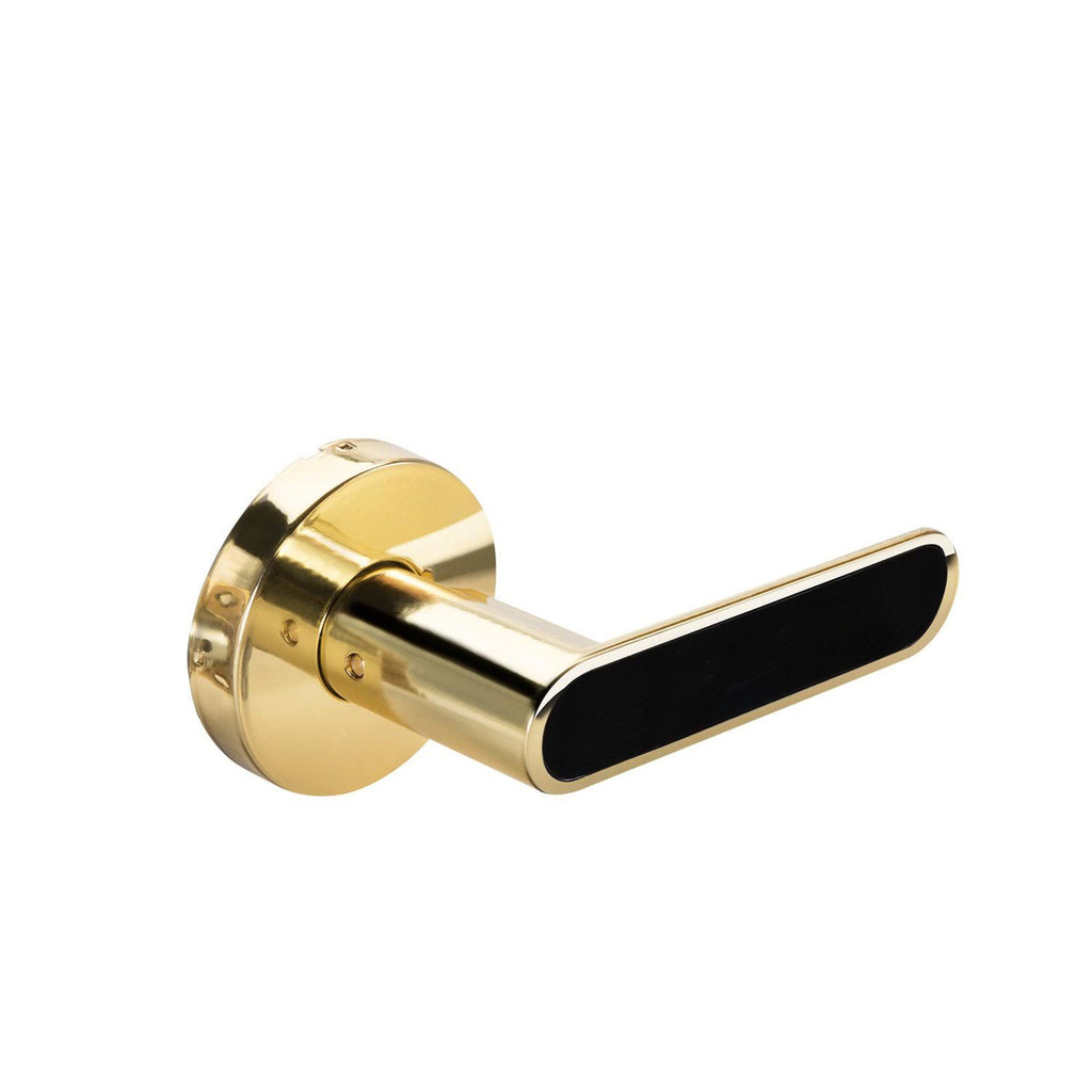 Black Inlay Privacy Lock B43887