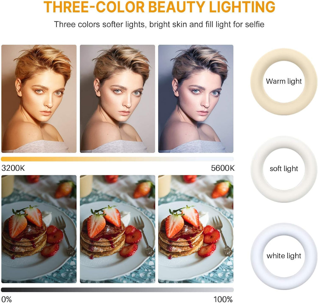 LED Video Light, 6.4 On Camera Ring Light Bi-Color Dimmable 3200-5600K, Built-in 2000mAh Battery CRI 95+ Fill DSLR Light with Mini Tripod U10466