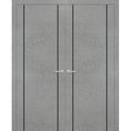 Solid French Double Doors 36 x 96 inches with Frosted Glass B249