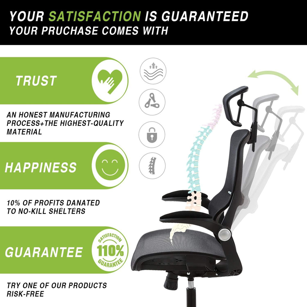Ergonomic Mesh Office Chair with 3D Lumbar Support G3753