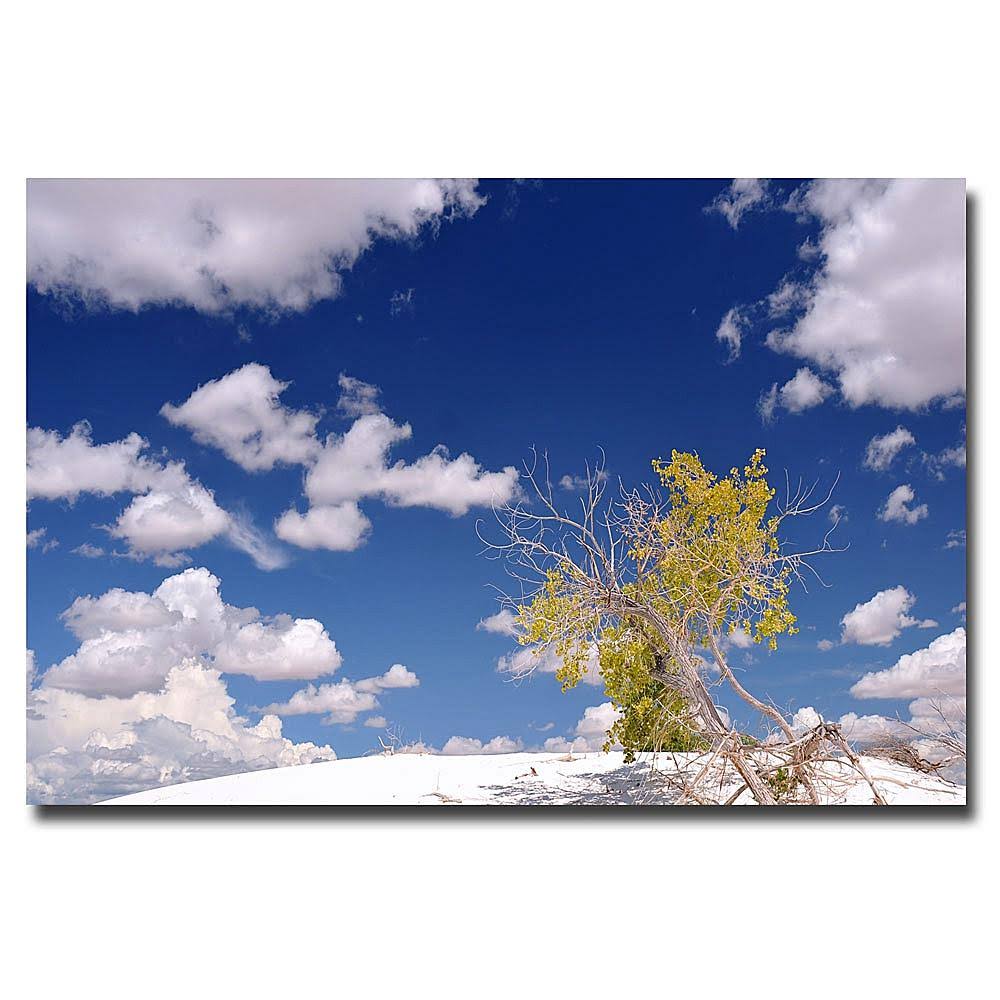 Canvas Art Z165533