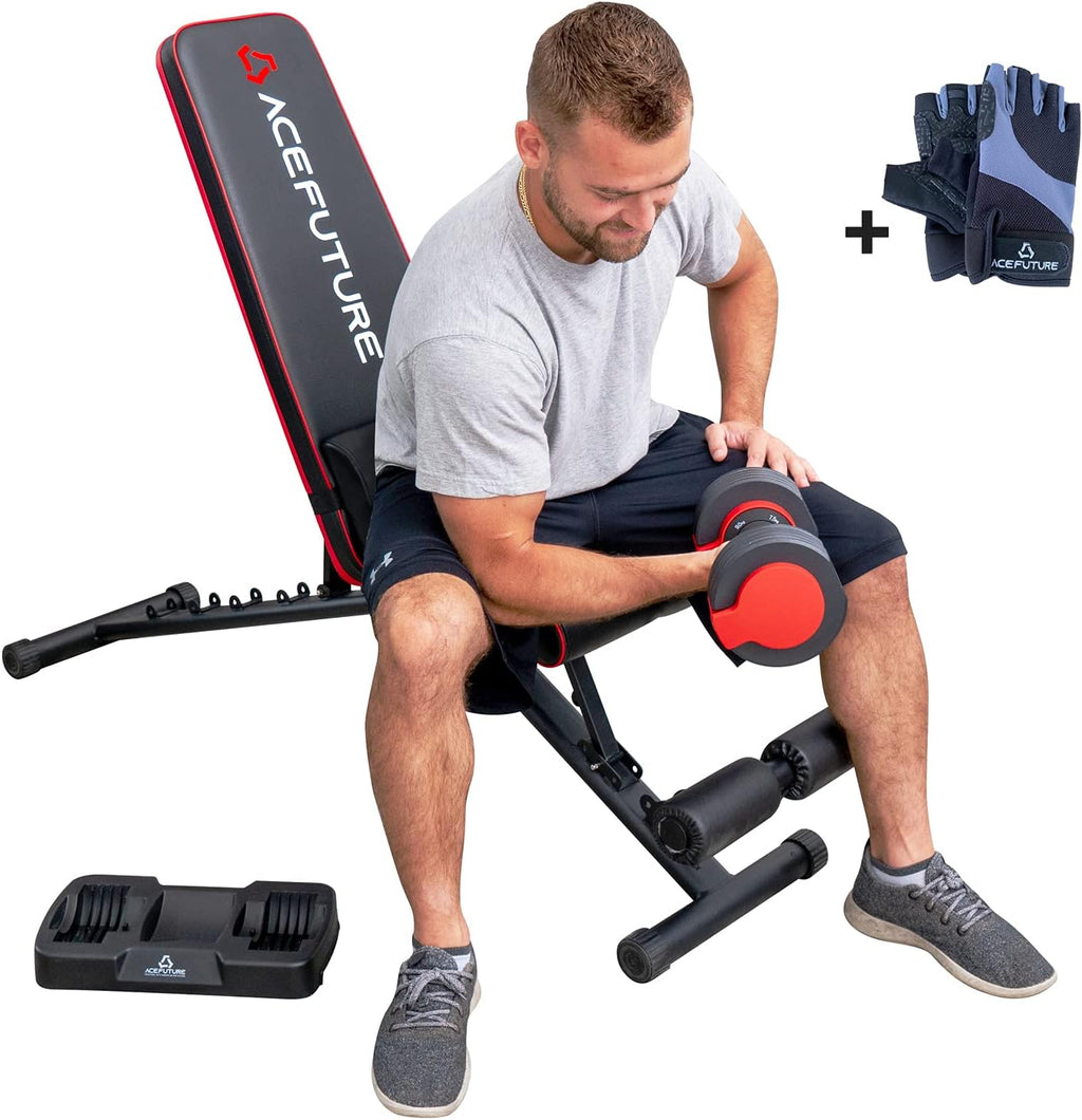 Adjustable Weight Bench with Lumbar Pad, 500 lbs Capacity R16684