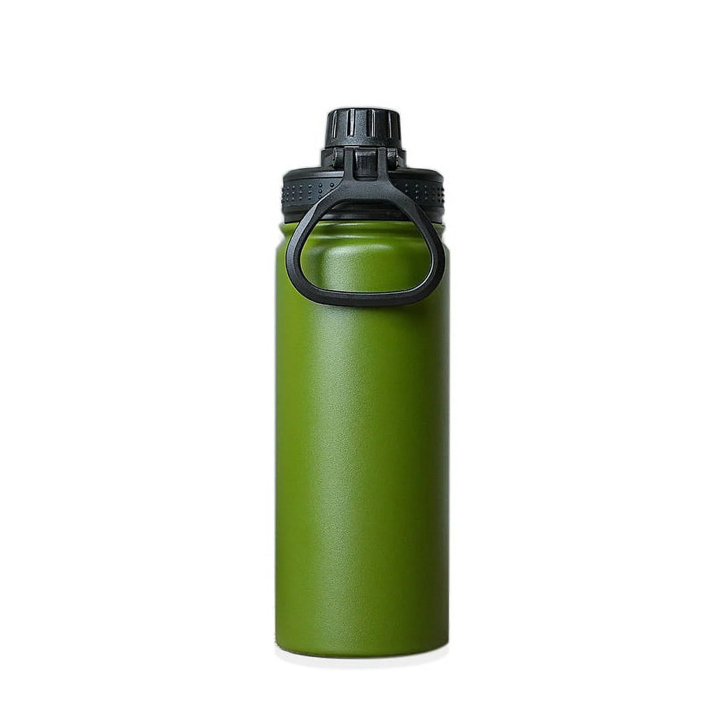 22 oz Insulated Stainless Steel Water Bottle with Straw N786