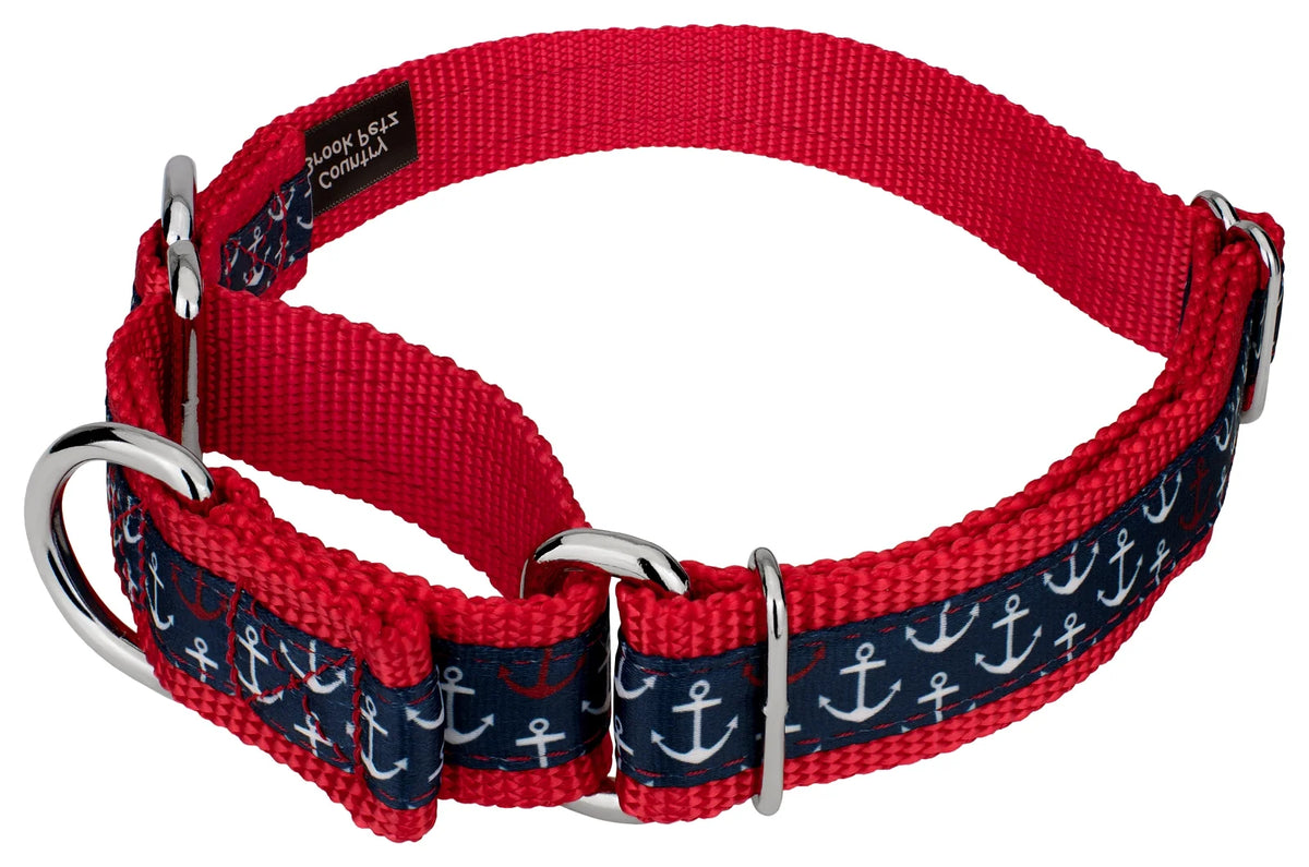 Large Martingale Dog Collar R94004