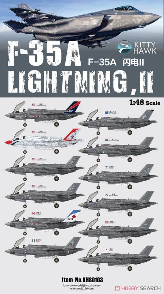 1/48 Scale F-35A Lightning II Q800