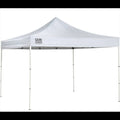 Compact 10 x 10 ft. Straight Leg Canopy V198